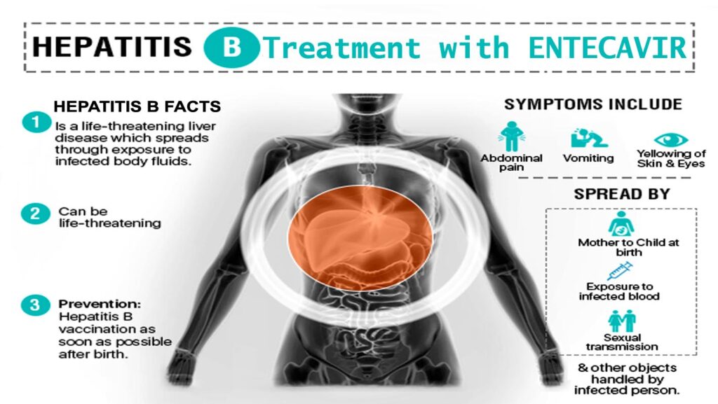 Entecavir Price in India